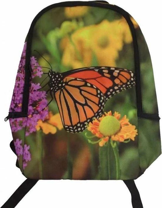 Begroting π― Pia Rugzak Vlinder- β¨ 3 Begroting π― Pia Rugzak Vlinder- β¨