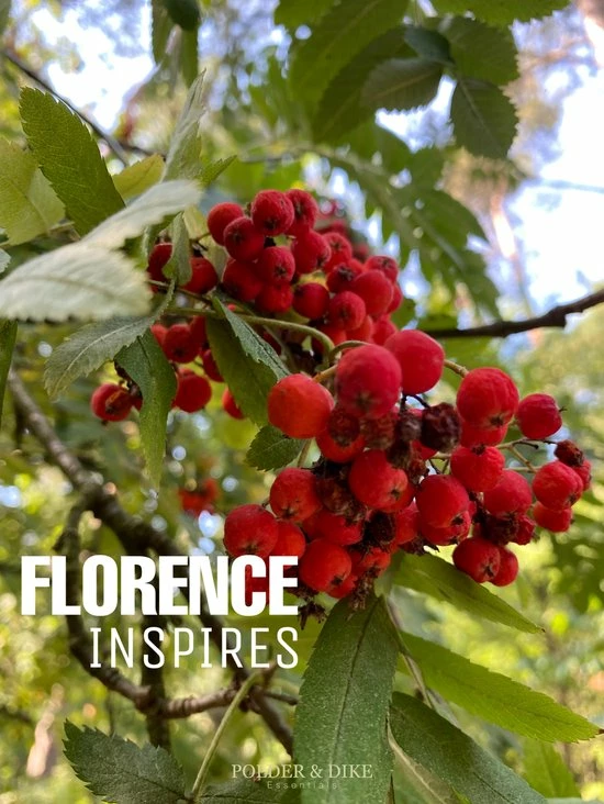 Flash-uitverkoop 🎉 POLDER & DIKE - Schoudertas / Crossbody - FLORENCE - Rood - Scarlet Red - Echt Leer 🥰 12 Flash-uitverkoop 🎉 POLDER & DIKE - Schoudertas / Crossbody - FLORENCE - Rood - Scarlet Red - Echt Leer 🥰 - Afbeelding 10